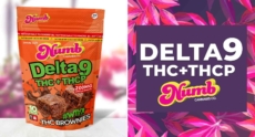 The High Effects of Delta 9 THC and THCP Cookies