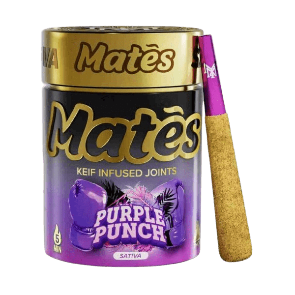 kief-infused joints—5 mini pre-rolls purple punch sativa