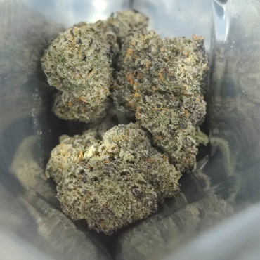 Best Budz Exotic Flower